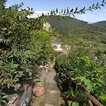 Lardarina *