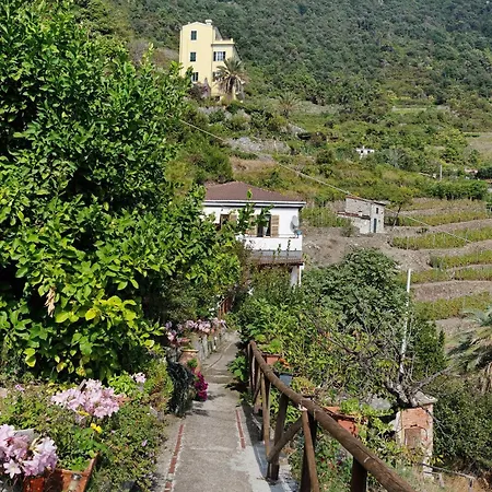 Lardarina * Corniglia